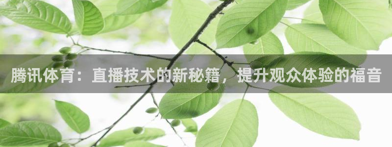 腾讯体育：直播技术的新秘籍，提升观众体验的福音