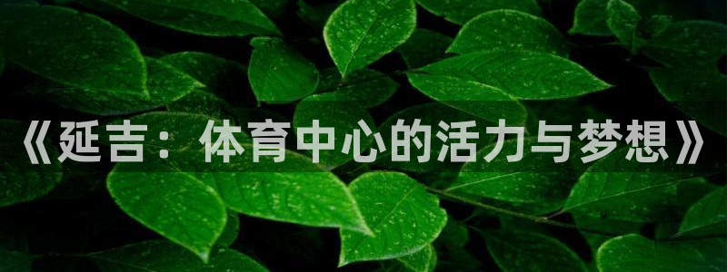 《延吉：体育中心的活力与梦想》