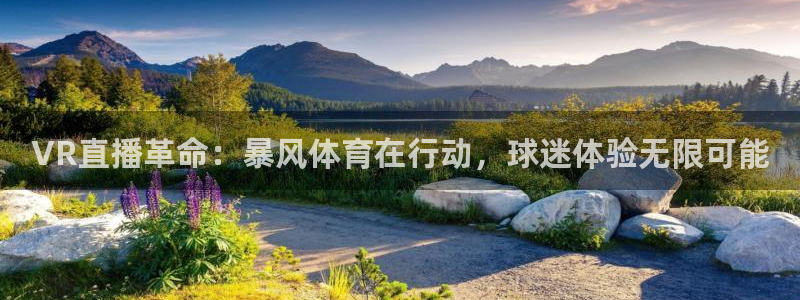 VR直播革命：暴风体育在行动，球迷体验无限可能