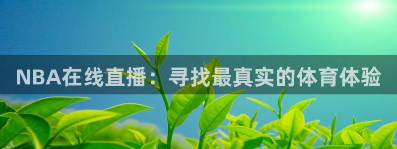 NBA在线直播：寻找最真实的体育体验